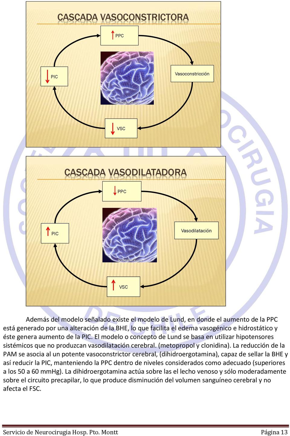 El modelo o concepto de Lund se basa en utilizar hipotensores sistémicos que no produzcan vasodilatación cerebral. (metopropol y clonidina).