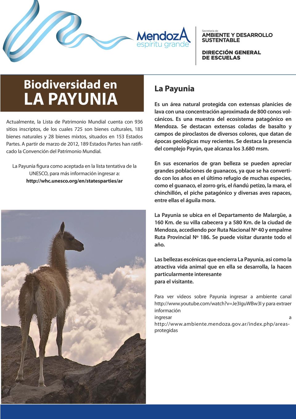 La Payunia figura como aceptada en la lista tentativa de la UNESCO, para más información ingresar a: http://whc.unesco.