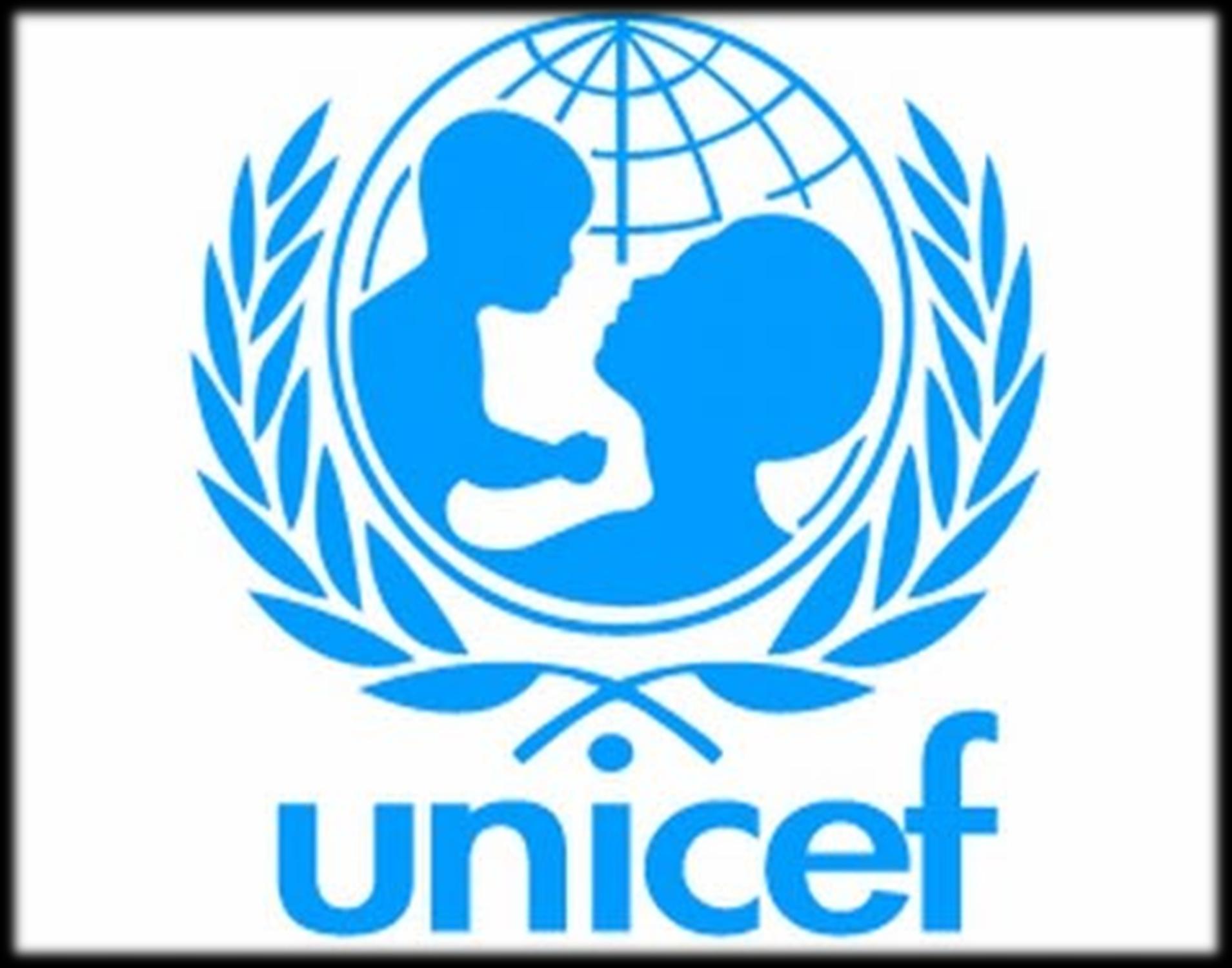 2.- UNICEF UNICEF está en el Perú desde 1948 para que la exclusión, la