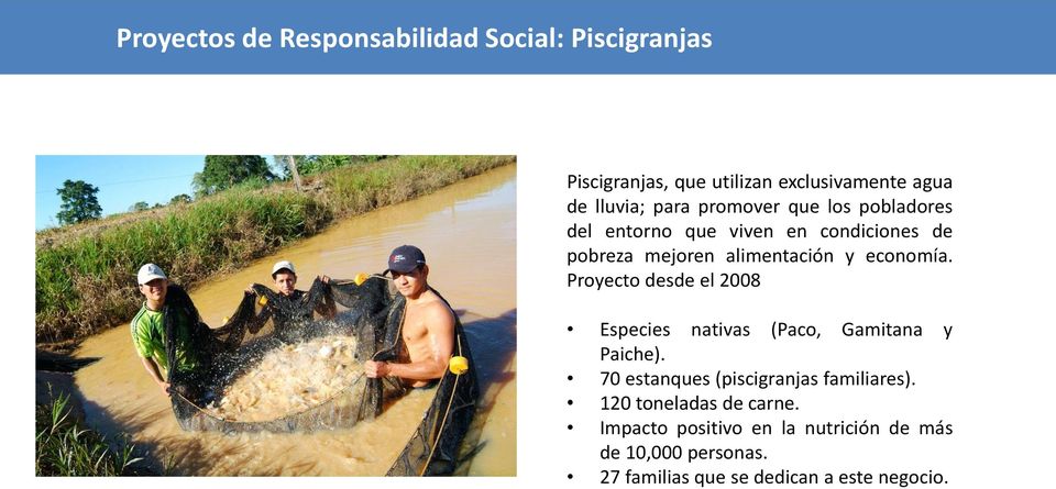 Proyecto desde el 2008 Especies nativas (Paco, Gamitana y Paiche). 70 estanques (piscigranjas familiares).