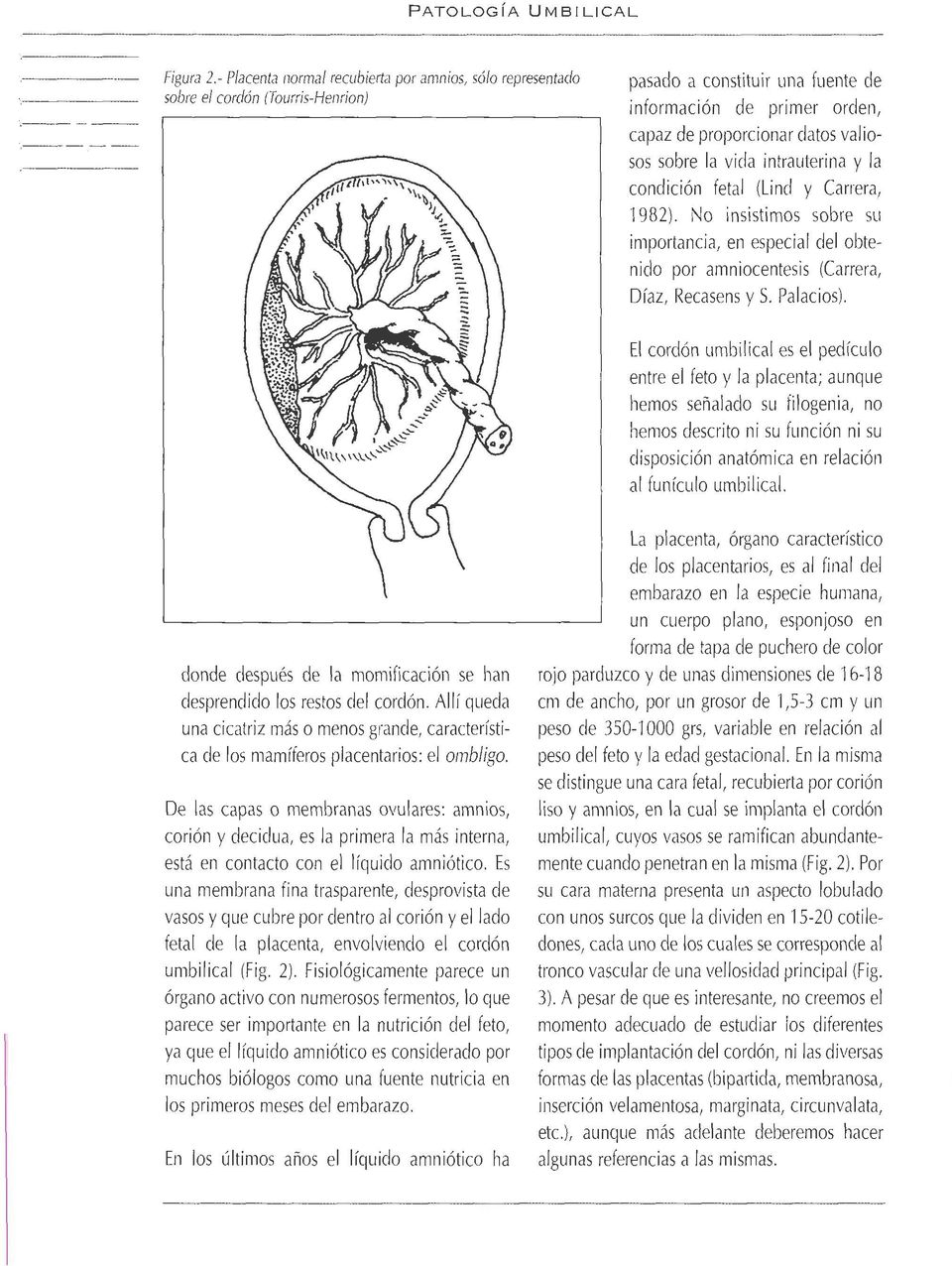 valiosos sobre la vida intrauterina y la condición fetal (Lind y Carrera, 1982). No insistimos sobre sil iniportancia, en especial del obtenido por amniocentesis (Carrera, Díaz, Recasens y S.
