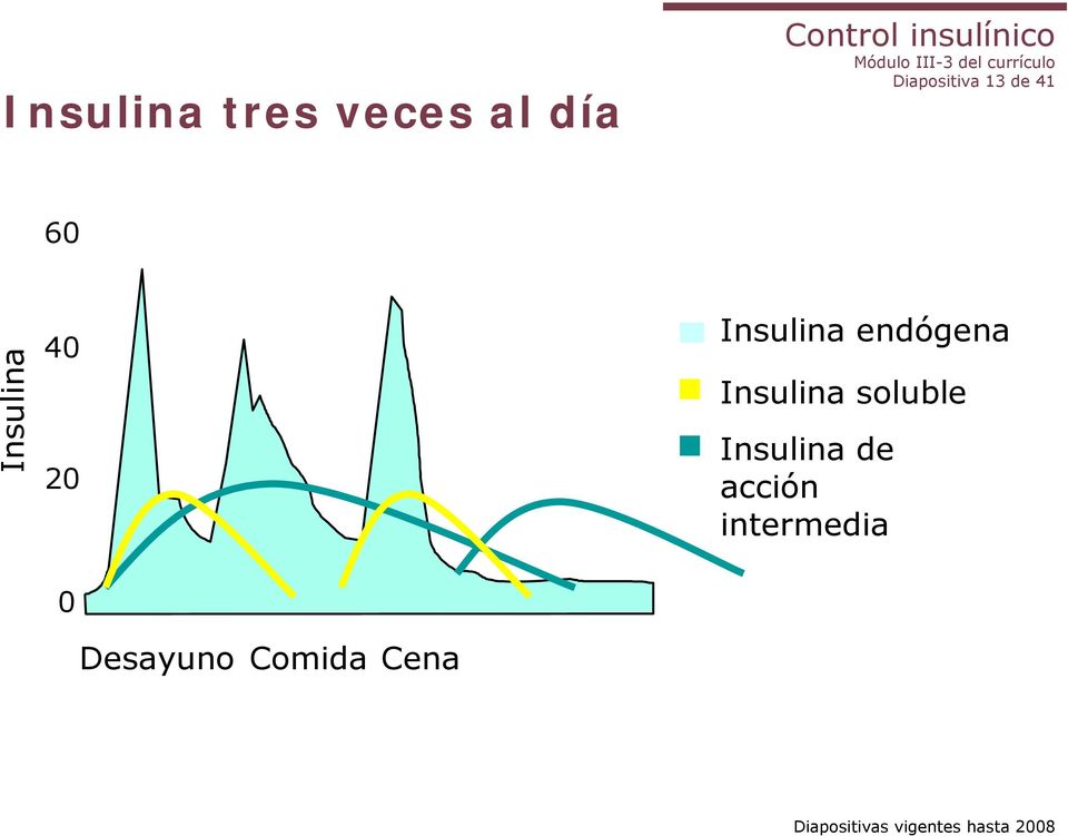 endógena Insulina soluble Insulina de