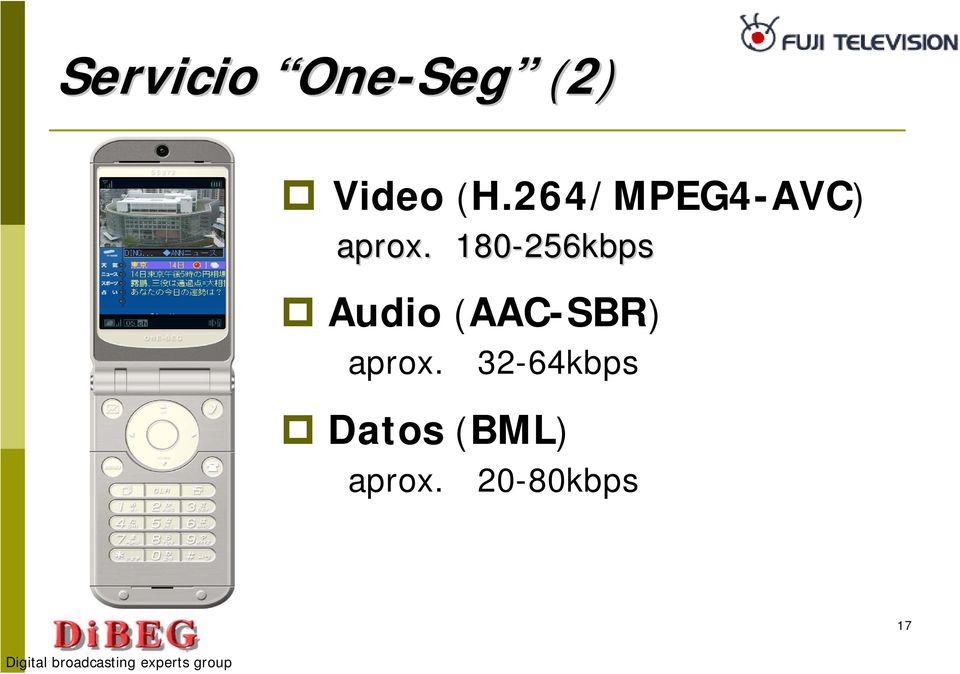 180-256kbps Audio (AAC-SBR)