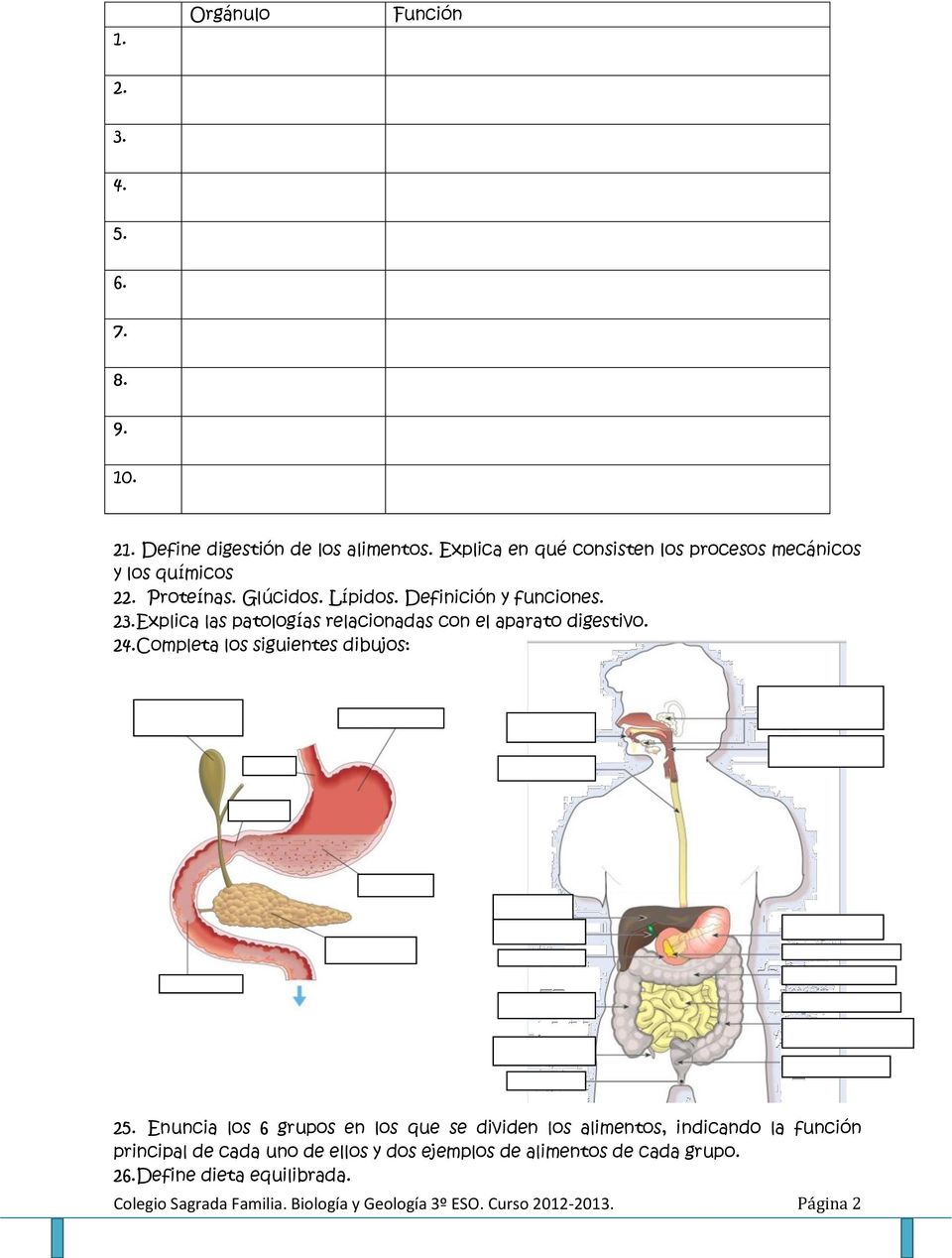 Explica las patologías relacionadas con el aparato digestivo. 24.Completa los siguientes dibujos: 25.