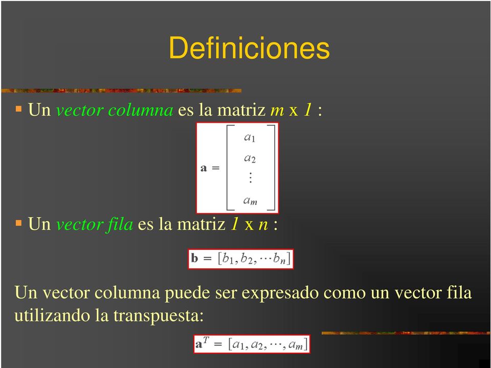 1 x n : Un vector columna puede ser