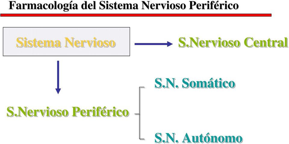 Nervioso S.Nervioso Central S.N.. Somático S.