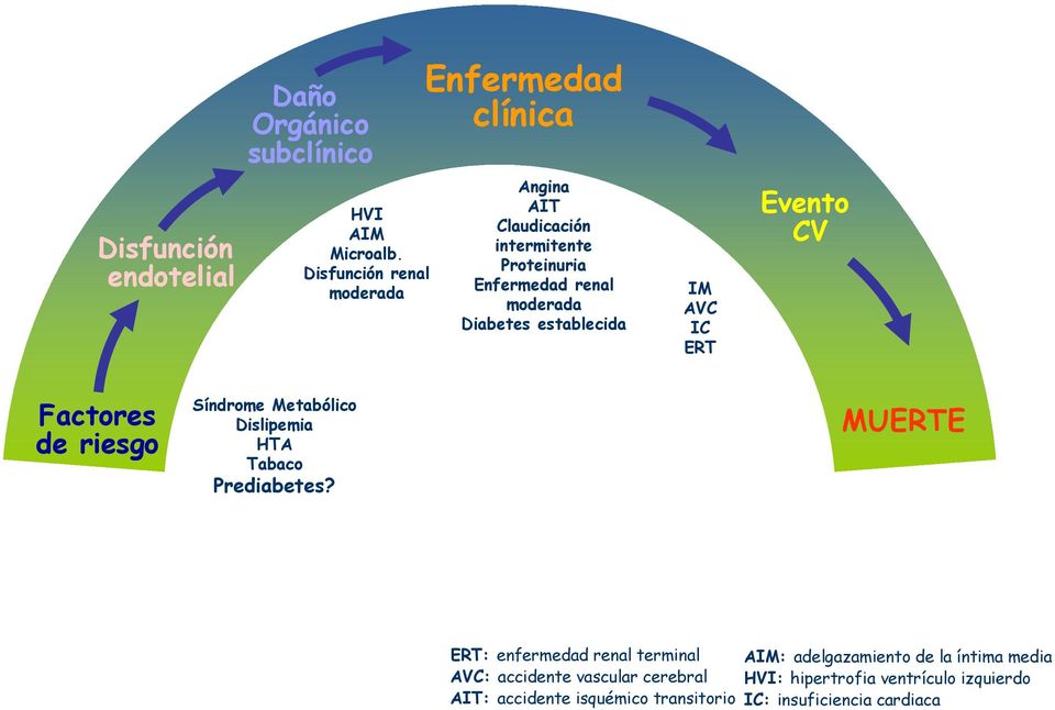 establecida IM AVC IC ERT Evento CV Factores de riesgo Síndrome Metabólico Dislipemia HTA Tabaco Prediabetes?