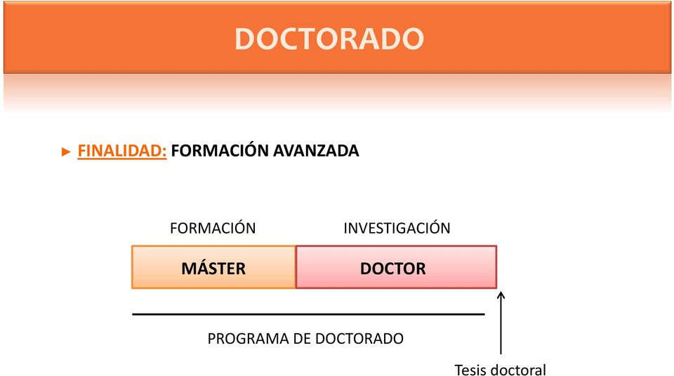 MÁSTER INVESTIGACIÓN DOCTOR