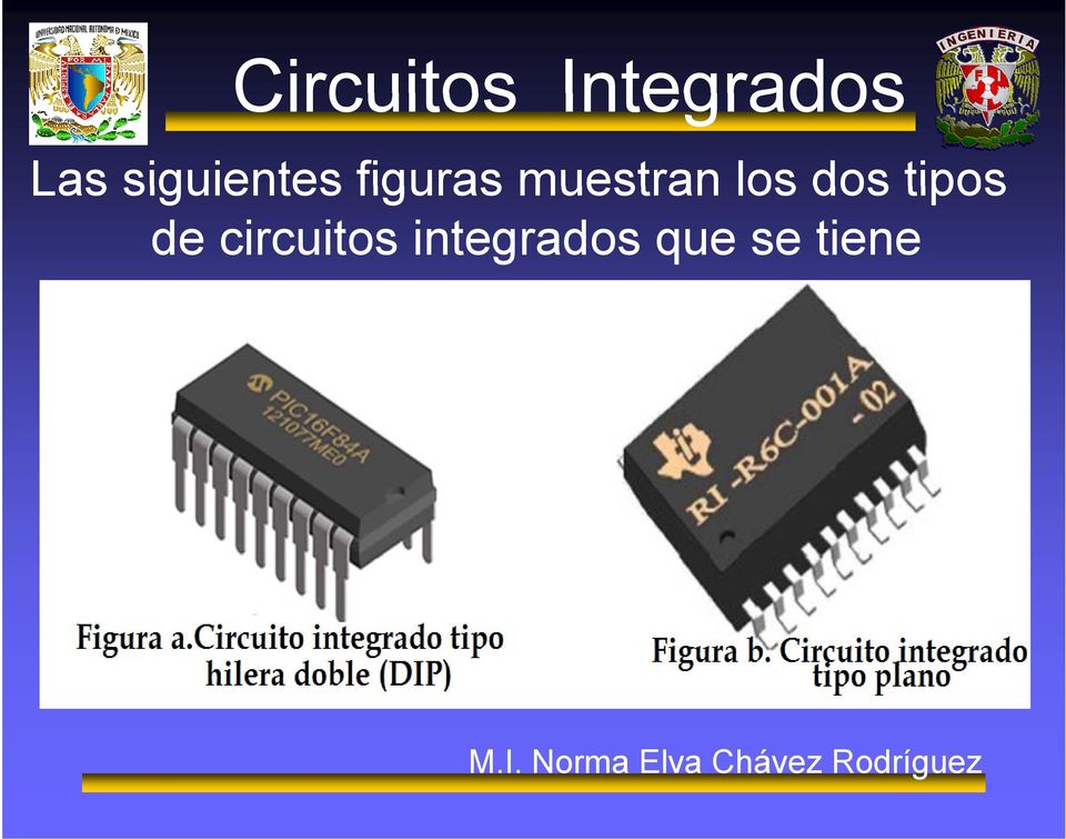 dos tipos de circuitos integrados