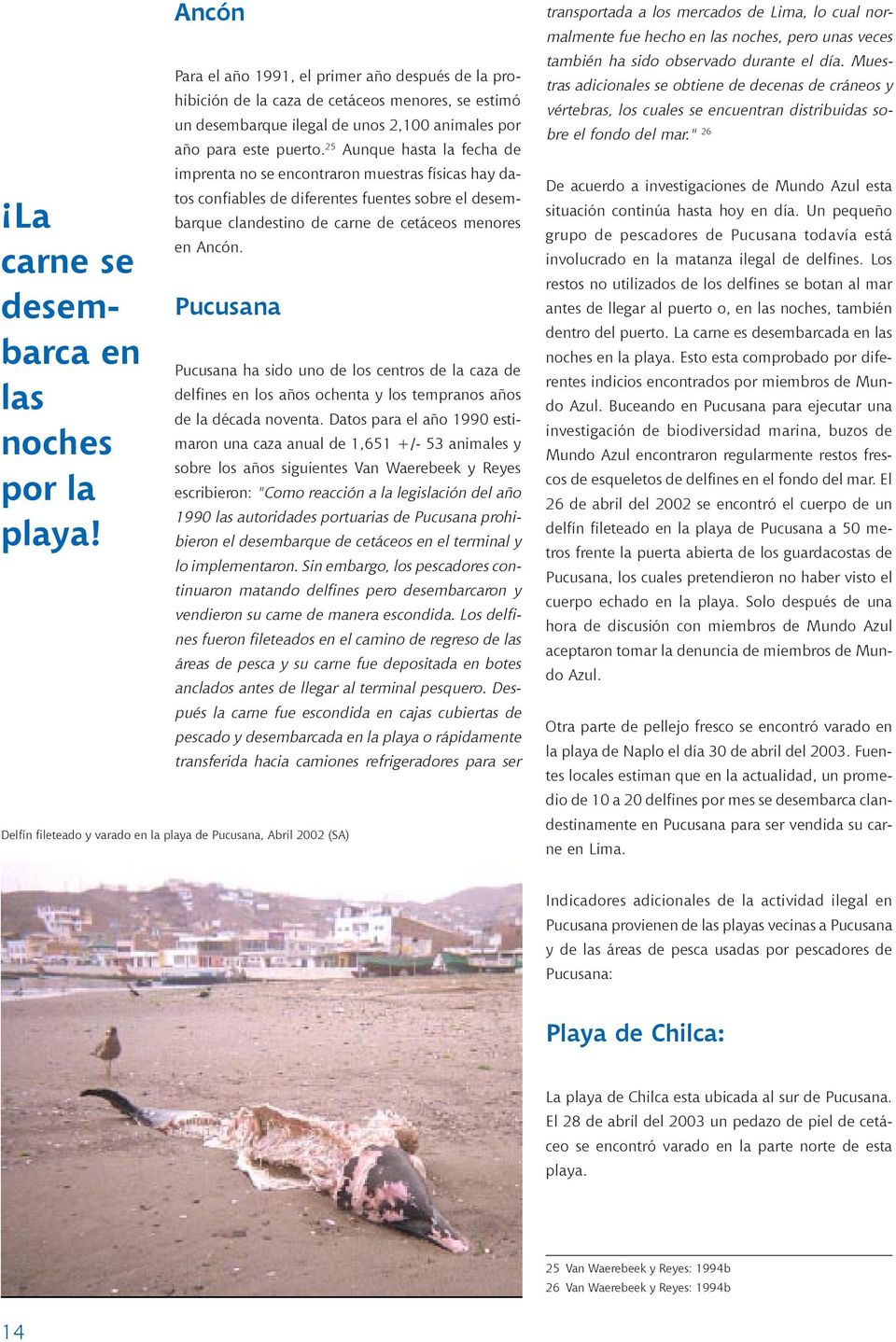 25 Aunque hasta la fecha de imprenta no se encontraron muestras físicas hay datos confiables de diferentes fuentes sobre el desembarque clandestino de carne de cetáceos menores en Ancón.