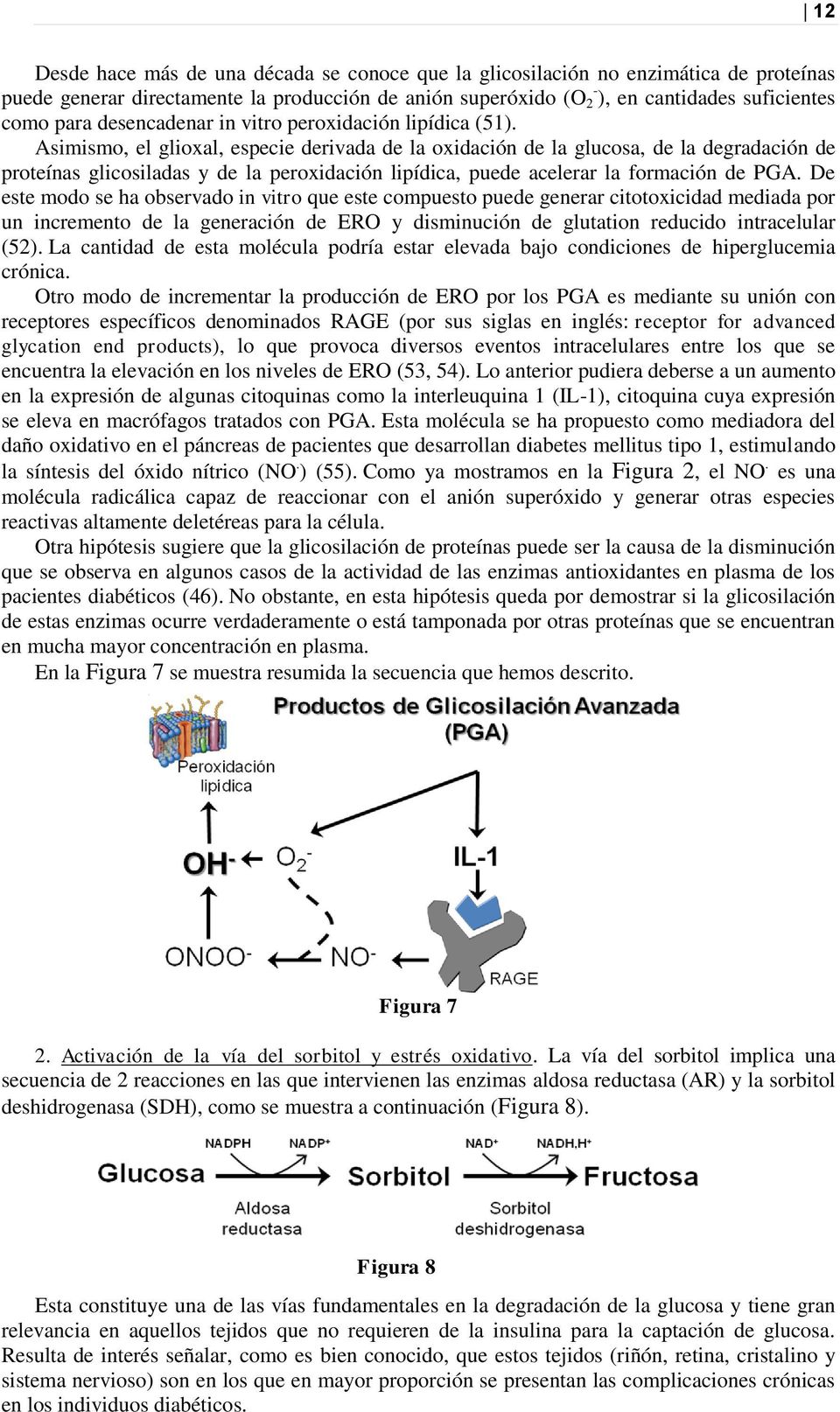 Asimismo, el glioxal, especie derivada de la oxidación de la glucosa, de la degradación de proteínas glicosiladas y de la peroxidación lipídica, puede acelerar la formación de PGA.