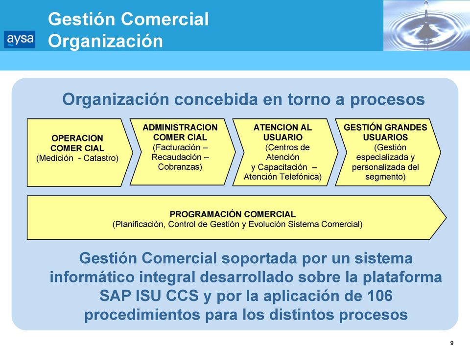 especializada y personalizada del segmento) PROGRAMACIÓN COMERCIAL (Planificación, Control de Gestión y Evolución Sistema Comercial) Gestión Comercial