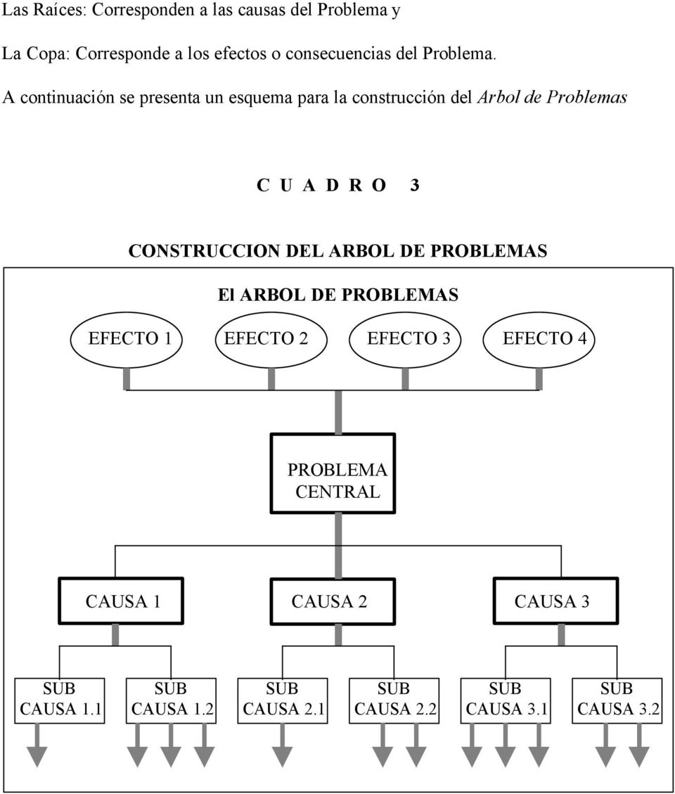 A continuación se presenta un esquema para la construcción del Arbol de Problemas C U A D R O 3