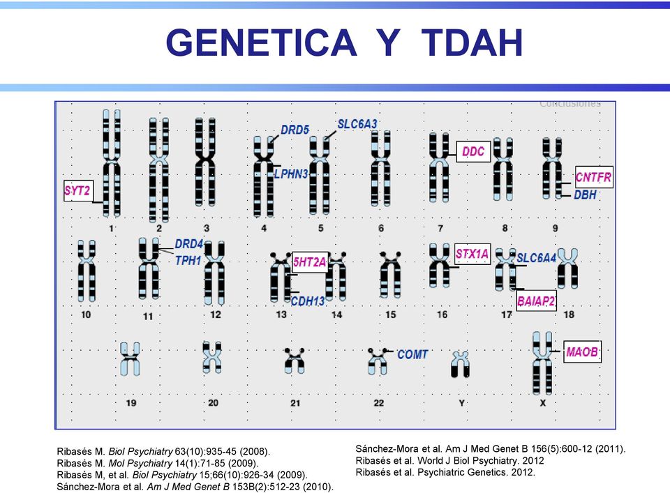 Am J Med Genet B 153B(2):512-23 (2010). Sánchez-Mora et al.