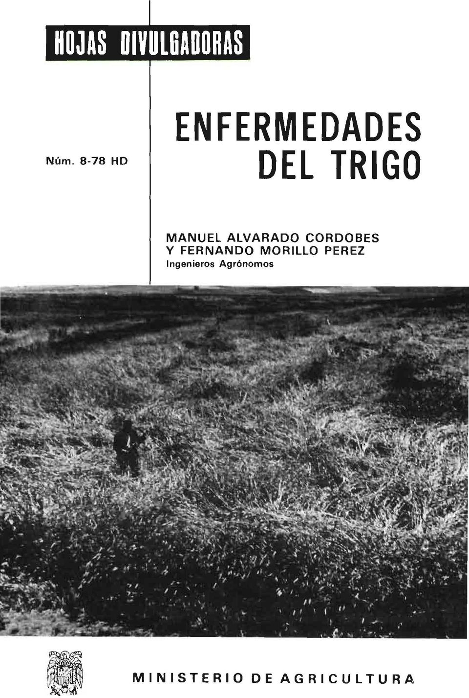 MANUEL ALVARADO CORDOBES Y FERNANDO