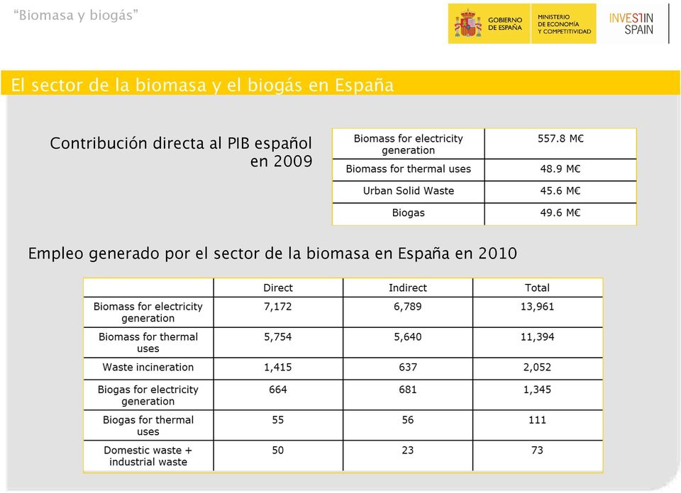 español en 2009 Empleo generado por