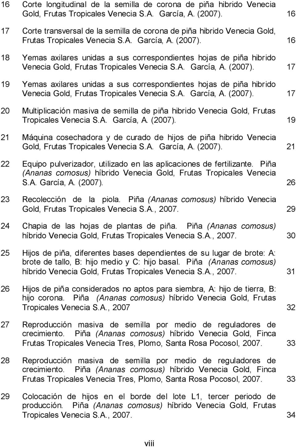 16 18 Yemas axilares unidas a sus correspondientes hojas de piña hibrido Venecia Gold, Frutas Tropicales Venecia S.A. García, A. (2007).