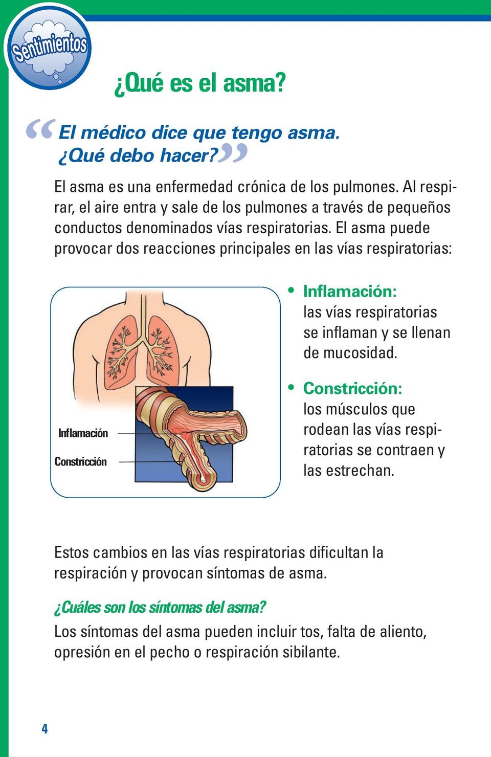 El asma puede provocar dos reacciones principales en las vías respiratorias: Inflamación: las vías respiratorias se inflaman y se llenan de mucosidad.