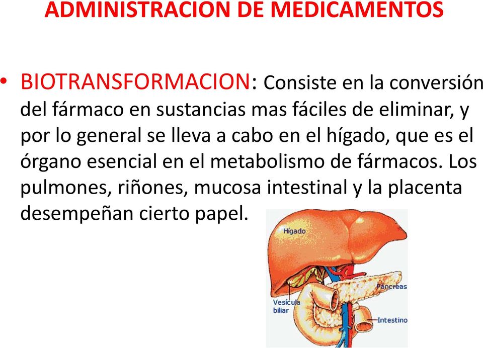 a cabo en el hígado,,que es el órgano esencial en el metabolismo de fármacos.