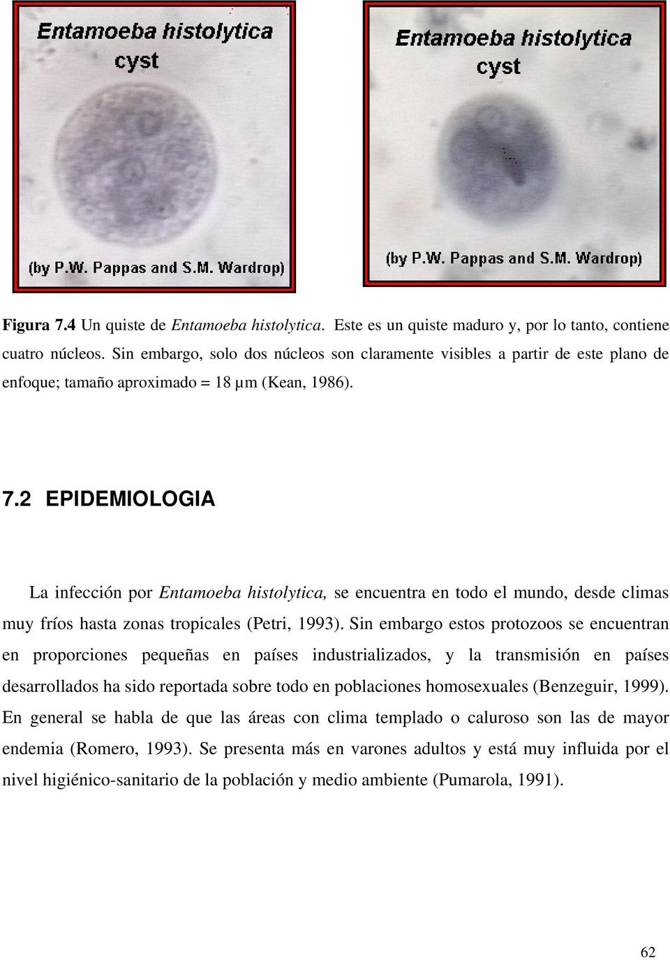 2 EPIDEMIOLOGIA La infección por Entamoeba histolytica, se encuentra en todo el mundo, desde climas muy fríos hasta zonas tropicales (Petri, 1993).