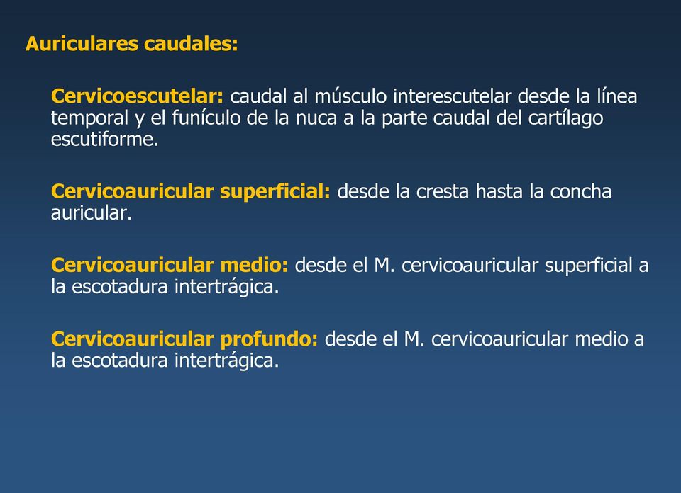 Cervicoauricular superficial: desde la cresta hasta la concha auricular.