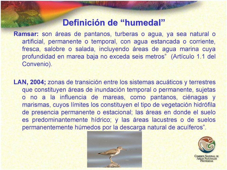 LAN, 2004; zonas de transición entre los sistemas acuáticos y terrestres que constituyen áreas de inundación temporal o permanente, sujetas o no a la influencia de mareas, como pantanos,