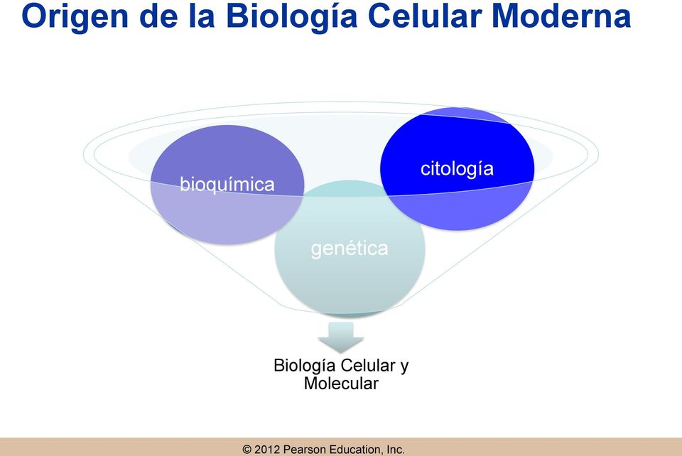 bioquímica citología