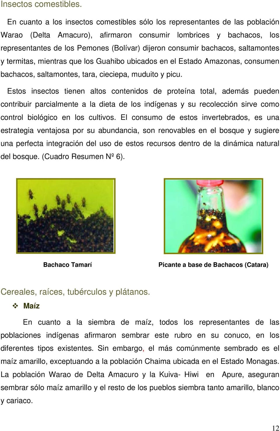consumir bachacos, saltamontes y termitas, mientras que los Guahibo ubicados en el Estado Amazonas, consumen bachacos, saltamontes, tara, cieciepa, muduito y picu.