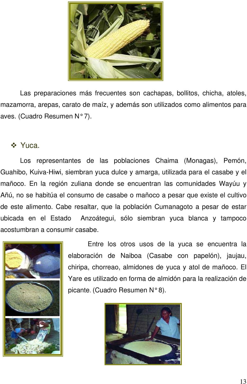 En la región zuliana donde se encuentran las comunidades Wayúu y Añú, no se habitúa el consumo de casabe o mañoco a pesar que existe el cultivo de este alimento.