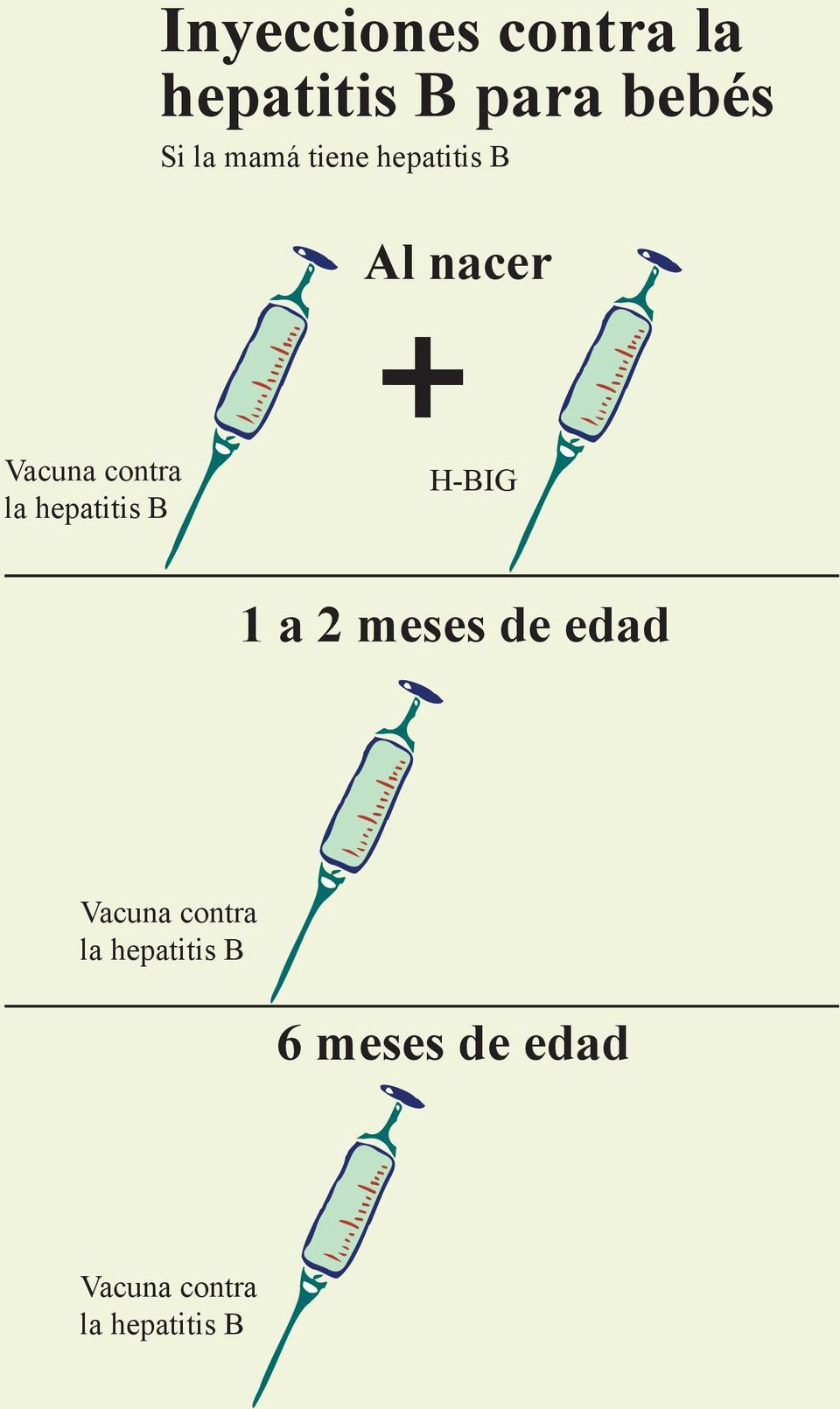 hepatitis B H-BIG 1 a 2 meses de edad Vacuna contra