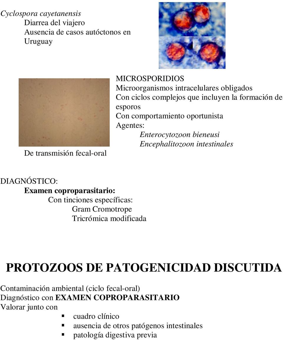 intestinales DIAGNÓSTICO: Examen coproparasitario: Con tinciones específicas: Gram Cromotrope Tricrómica modificada PROTOZOOS DE PATOGENICIDAD DISCUTIDA