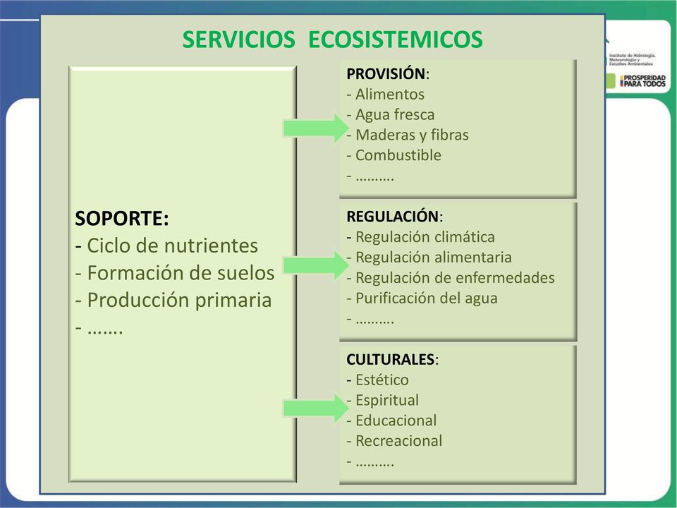 SOPORTE: - Ciclo de nutrientes - Formación de suelos - Producción primaria -.