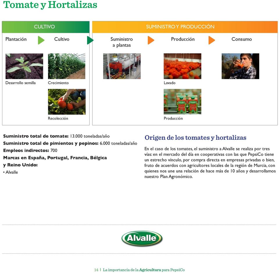 000 toneladas/año Empleos indirectos: 700 Marcas en España, Portugal, Francia, Bélgica y Reino Unido: Alvalle Origen de los tomates y hortalizas En el caso de los tomates, el suministro a Alvalle se