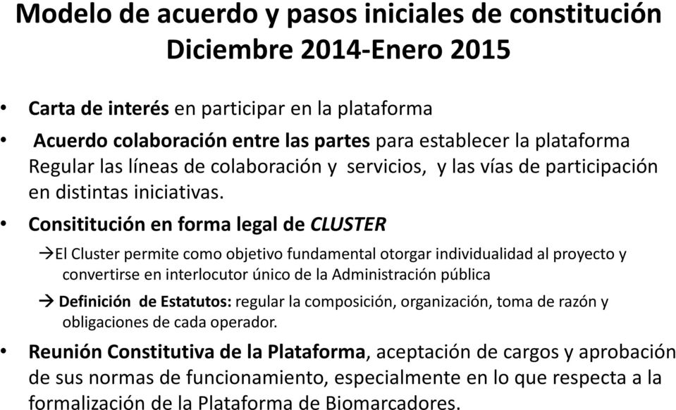 Consititución en forma legal de CLUSTER El Cluster permite como objetivo fundamental otorgar individualidad al proyecto y convertirse en interlocutor único de la Administración pública Definición