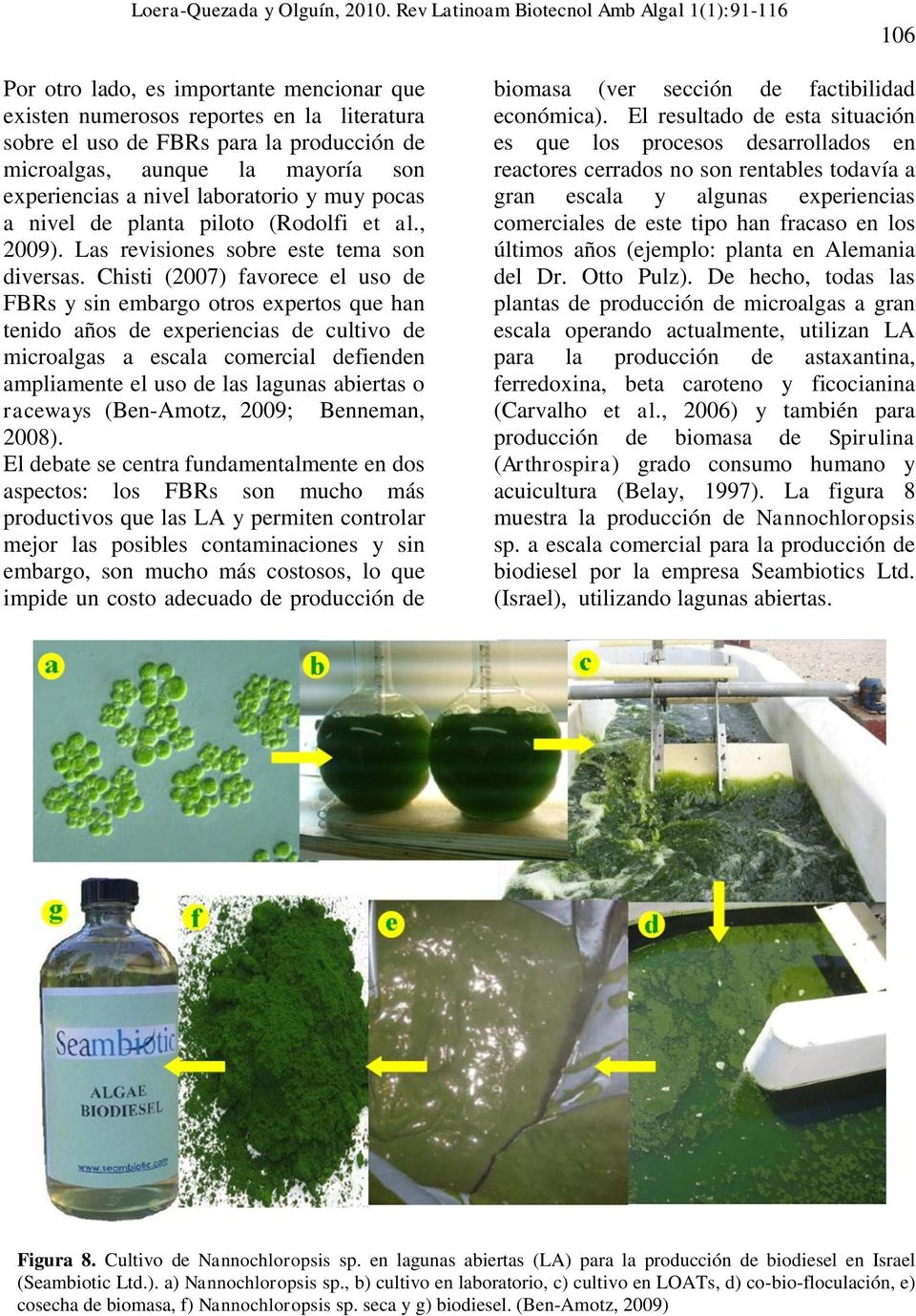 Chisti (2007) favorece el uso de FBRs y sin embargo otros expertos que han tenido años de experiencias de cultivo de microalgas a escala comercial defienden ampliamente el uso de las lagunas abiertas