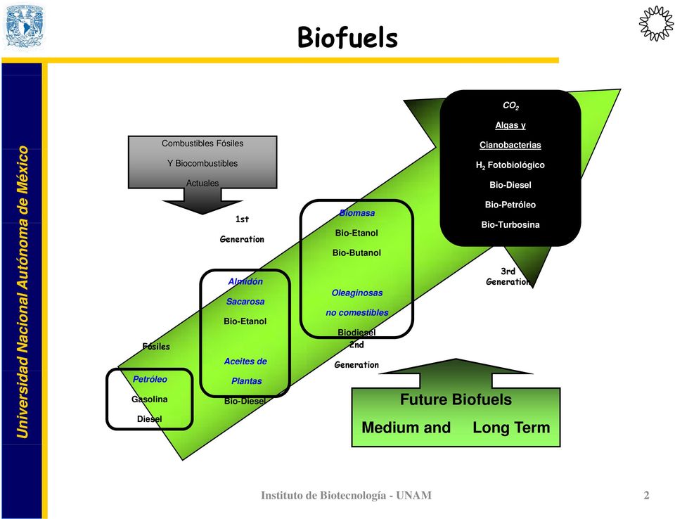 Oleaginosas no comestibles Biodiesel 2nd Generation Cianobacterias H 2 Fotobiológico Bio-Diesel