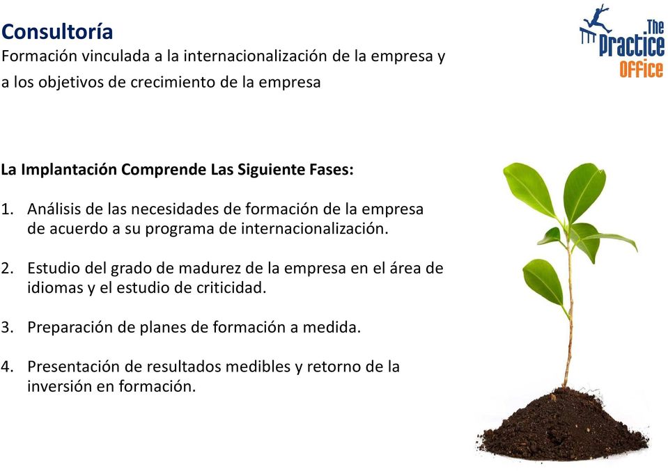 Análisis de las necesidades de formación de la empresa de acuerdo a su programa de internacionalización. 2.