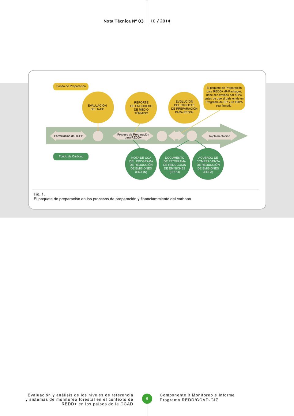 R-PP Proceso de Preparación para REDD+ Implementación Fondo de Carbono NOTA DE CCA DEL PROGRAMA DE REDUCCIÓN DE EMISIONES