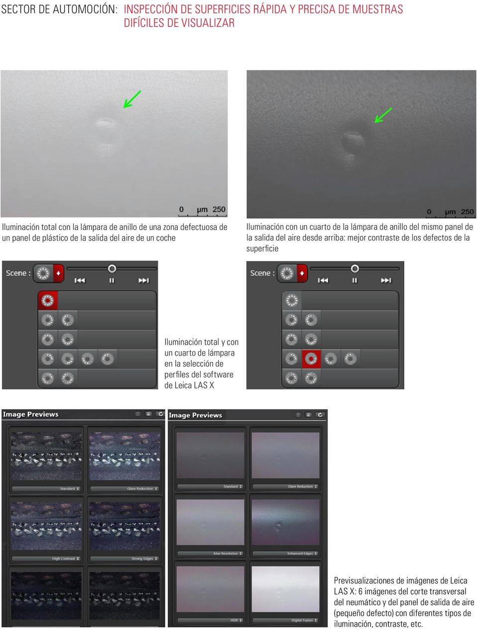 Iluminación total y con un cuarto de lámpara en la selección de perfiles del software de Leica LAS X Previsualizaciones de imágenes de Leica