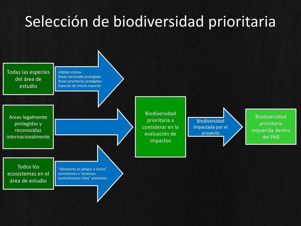 prioritaria a considerar en la evaluación de impactos Biodiversidad impactada por el proyecto Biodiversidad prioritaria requerida