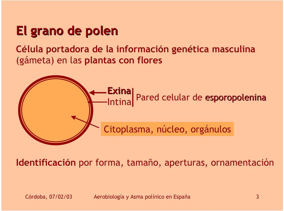 esporopolenina Citoplasma, núcleo, orgánulos Identificación por forma,