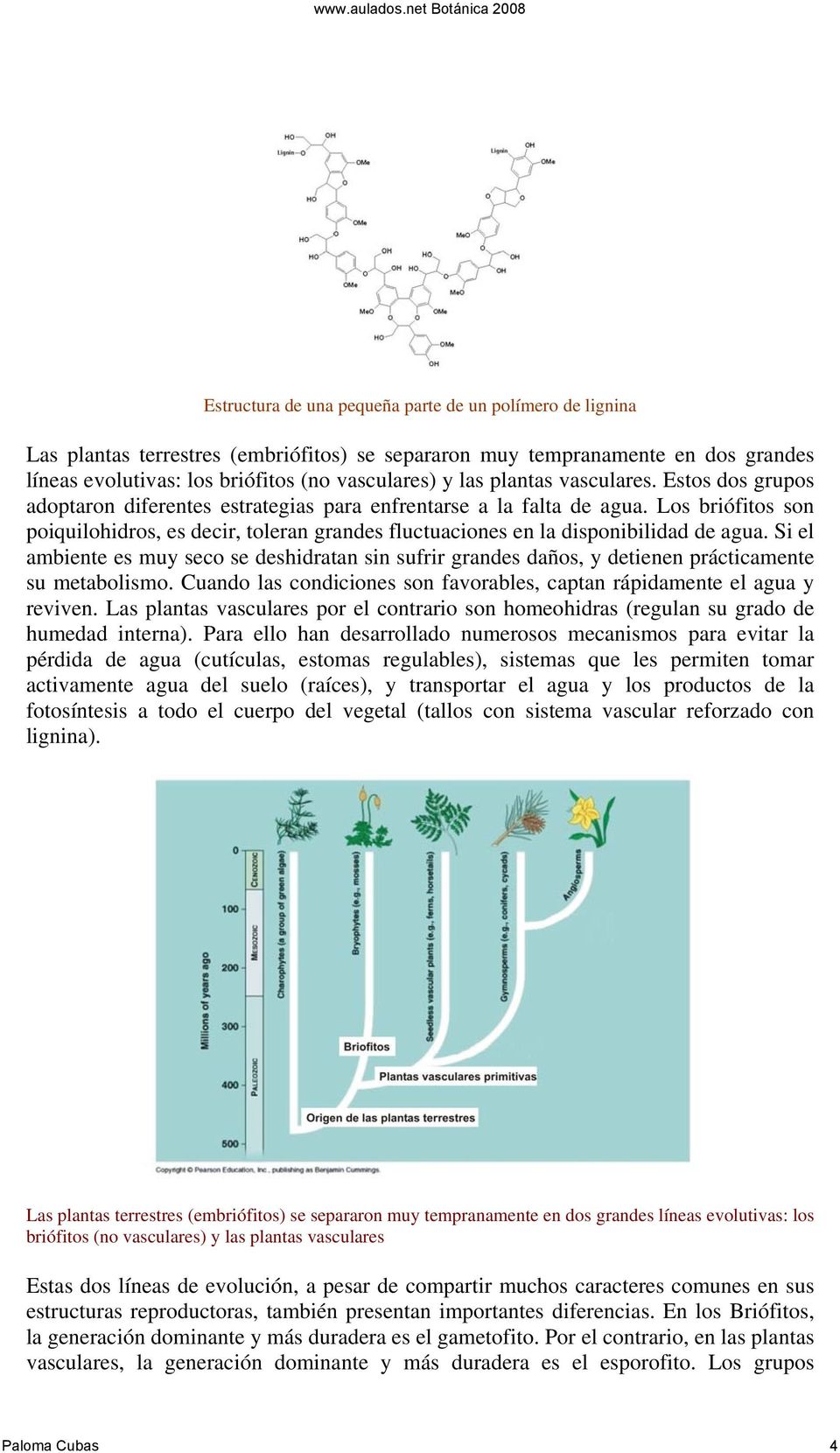 Los briófitos son poiquilohidros, es decir, toleran grandes fluctuaciones en la disponibilidad de agua.