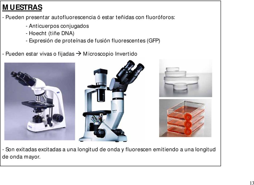 fluorescentes (GFP) - Pueden estar vivas o fijadas Microscopio Invertido - Son