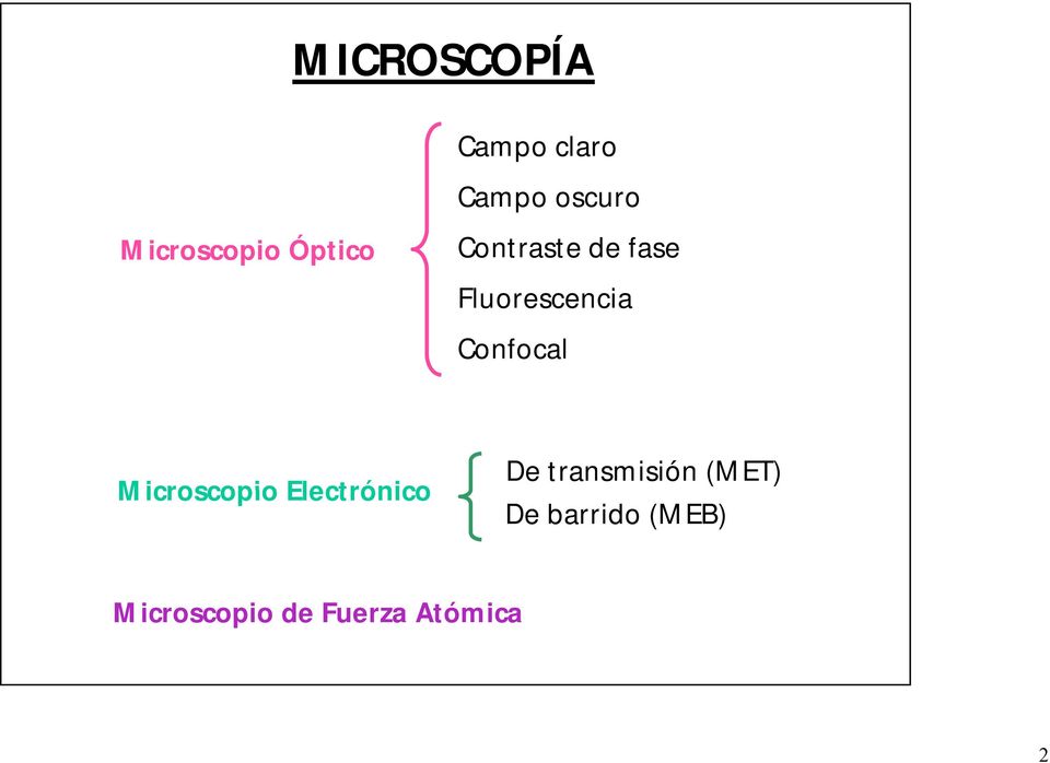Confocal Microscopio Electrónico De transmisión