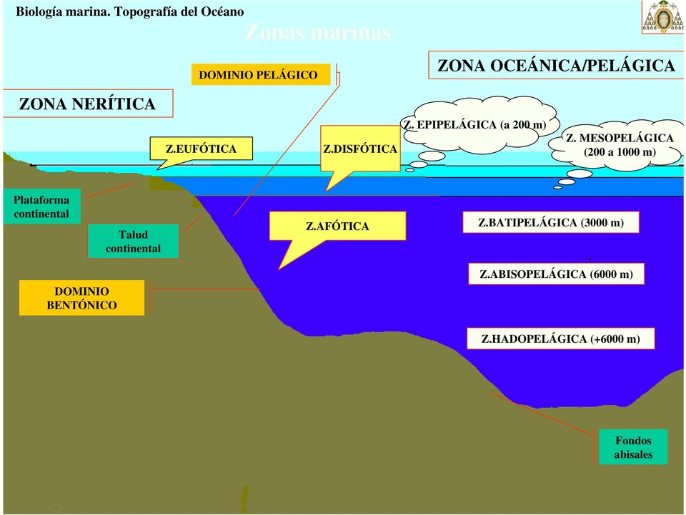 MESOPELÁGICA (200 a 1000 m) Plataforma continental Talud continental Z.
