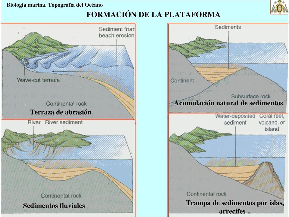 PLATAFORMA Acumulación natural de sedimentos