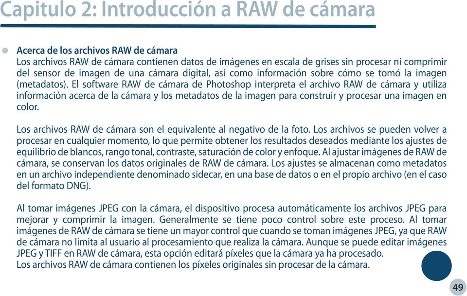 El software RAW de cámara de Photoshop interpreta el archivo RAW de cámara y utiliza información acerca de la cámara y los metadatos de la imagen para construir y procesar una imagen en color.
