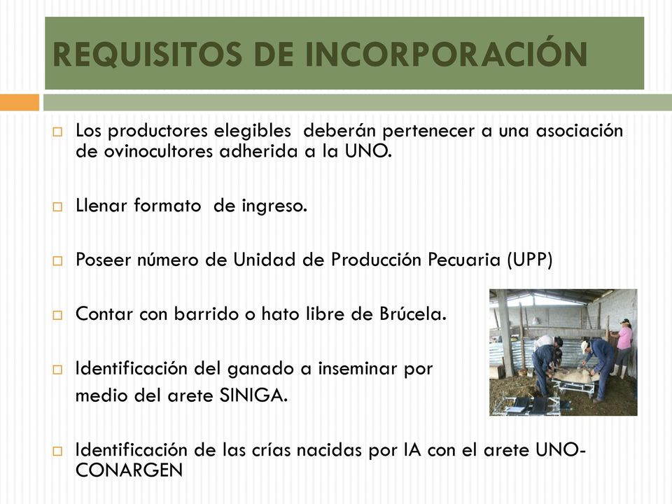 Poseer número de Unidad de Producción Pecuaria (UPP) Contar con barrido o hato libre de Brúcela.