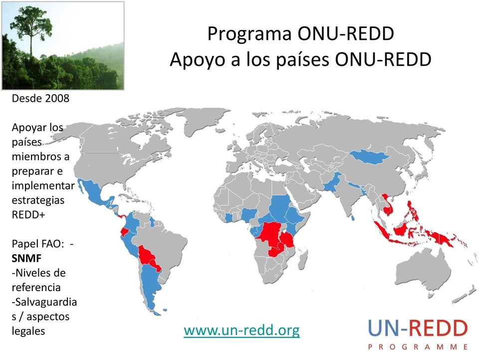 implementar estrategias REDD+ Papel FAO: - SNMF