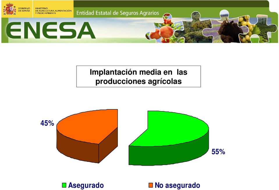 agrícolas 45% 55%